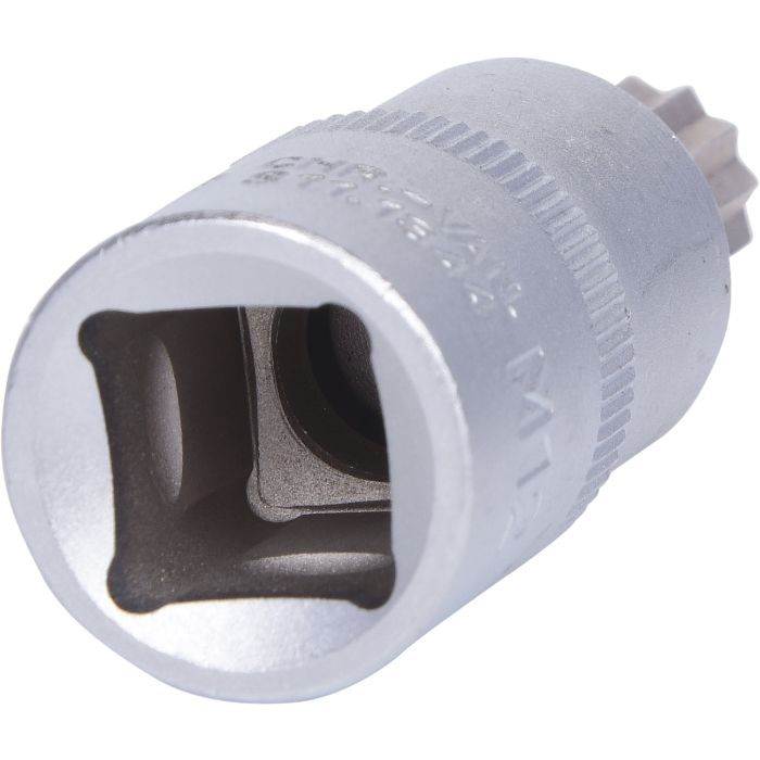 Bitspipe 1/2" XZN M12