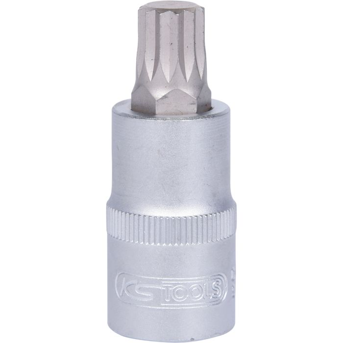 Bitspipe 1/2" XZN M12