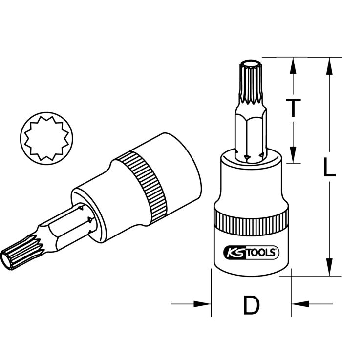 Bitspipe 1/2" XZN M7